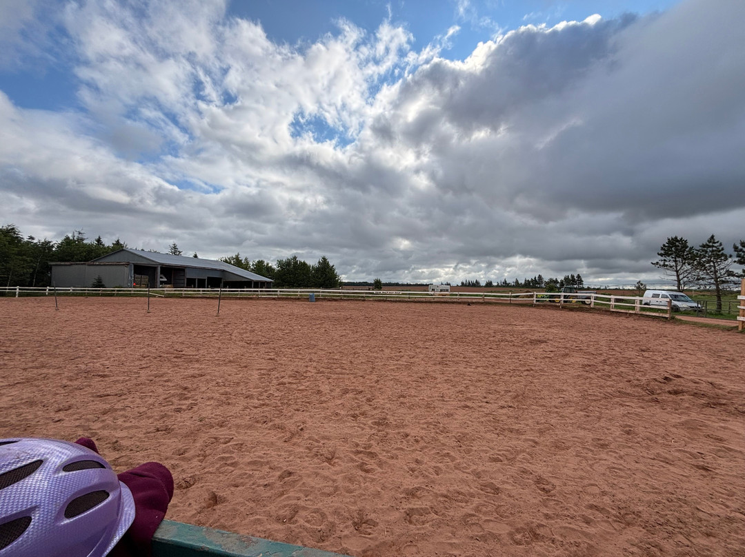 Venture Stables-Kensington必去景点