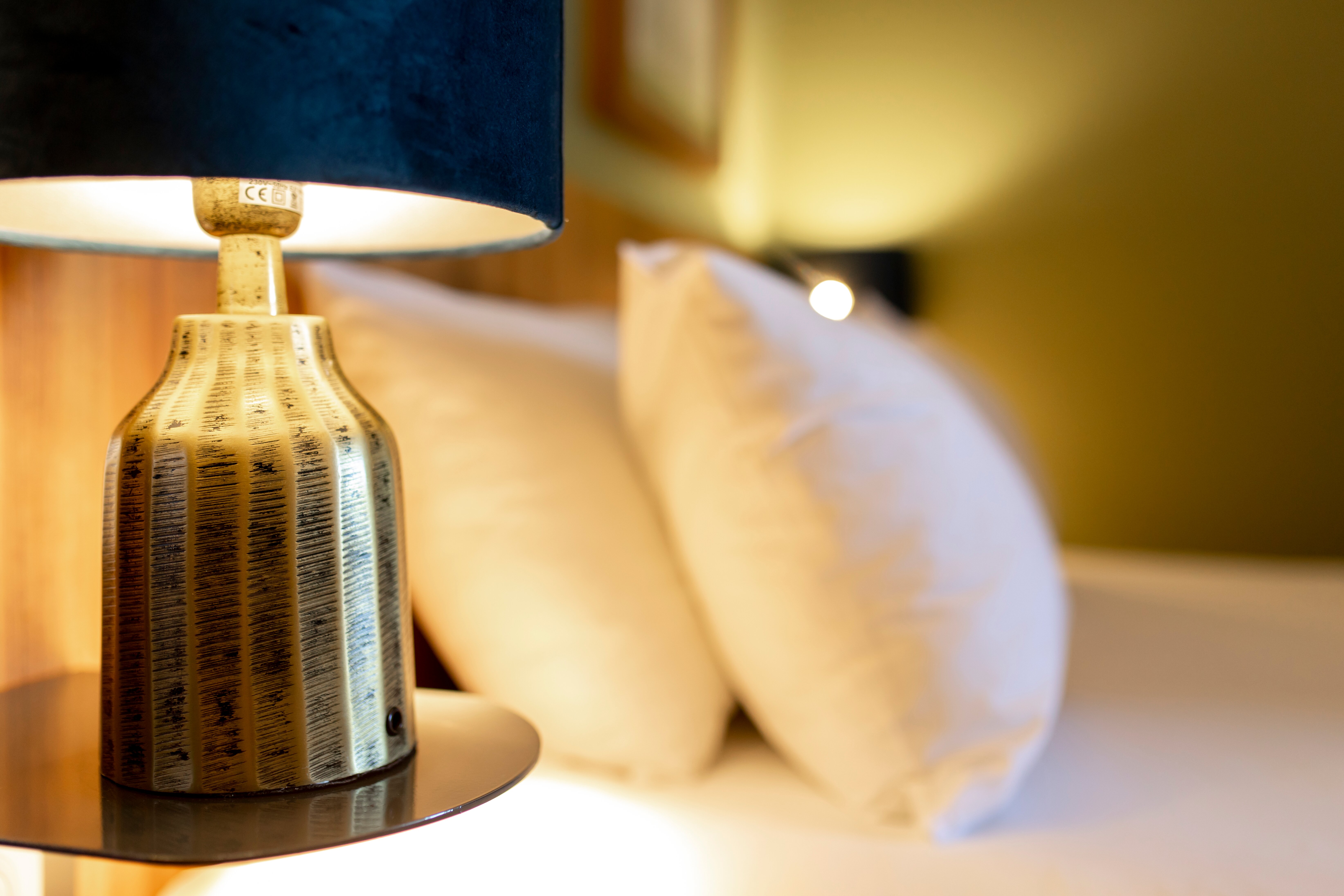 Ibis St Etienne Gare TGV-客卧