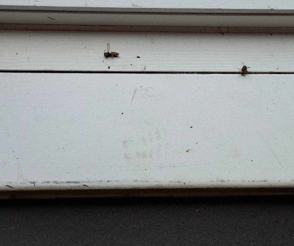 Hainault Forest Country Park-Chigwell必去景点