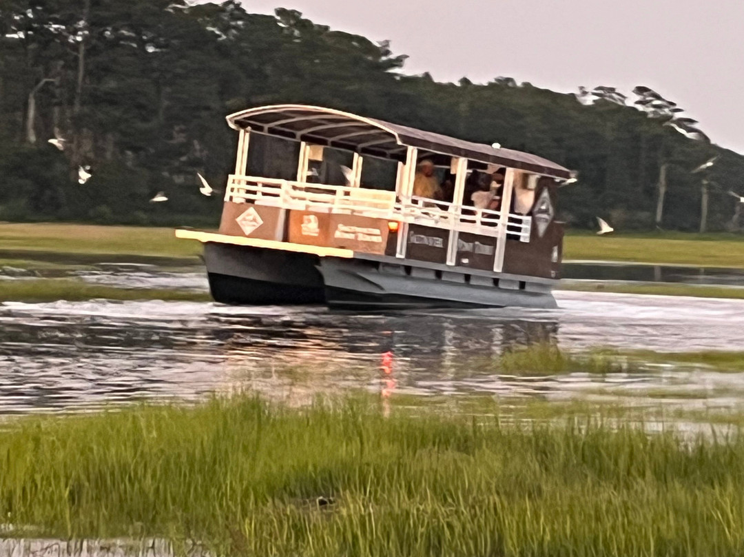 Saltwater Pony Tours-钦科蒂格岛必去景点