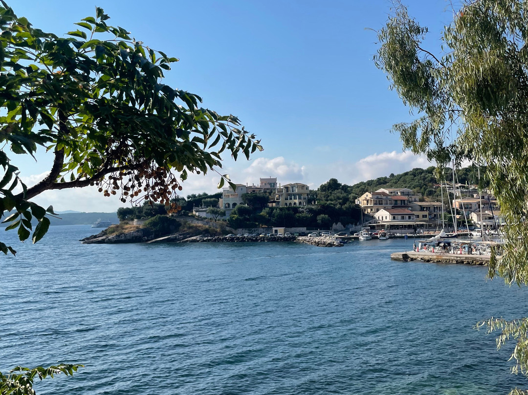 Michelangelo Resort主图