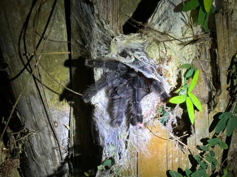 Inca Land Tours-拉巴斯必去景点