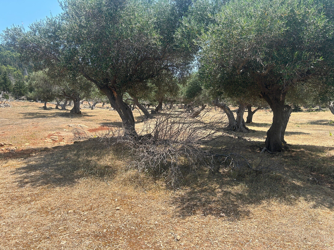 Castle-阿索斯必去景点