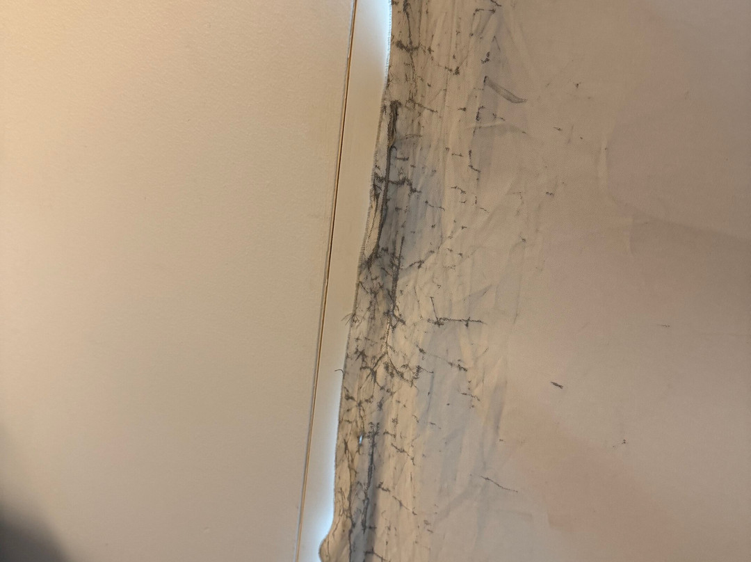 Hyatt House Denver/Lakewood at Belmar主图