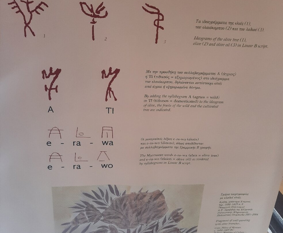 Museum of the Olive and Greek Olive Oil-Sparta必去景点