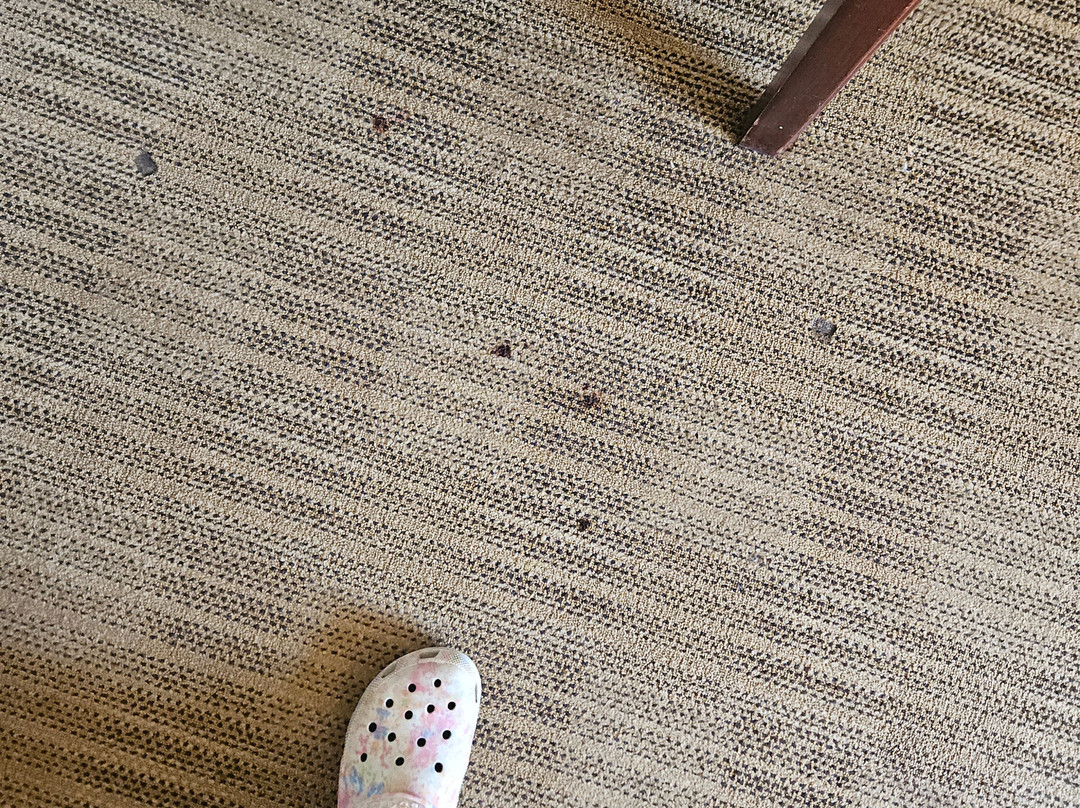 Extended Stay America - Washington, D.C. - Sterling主图