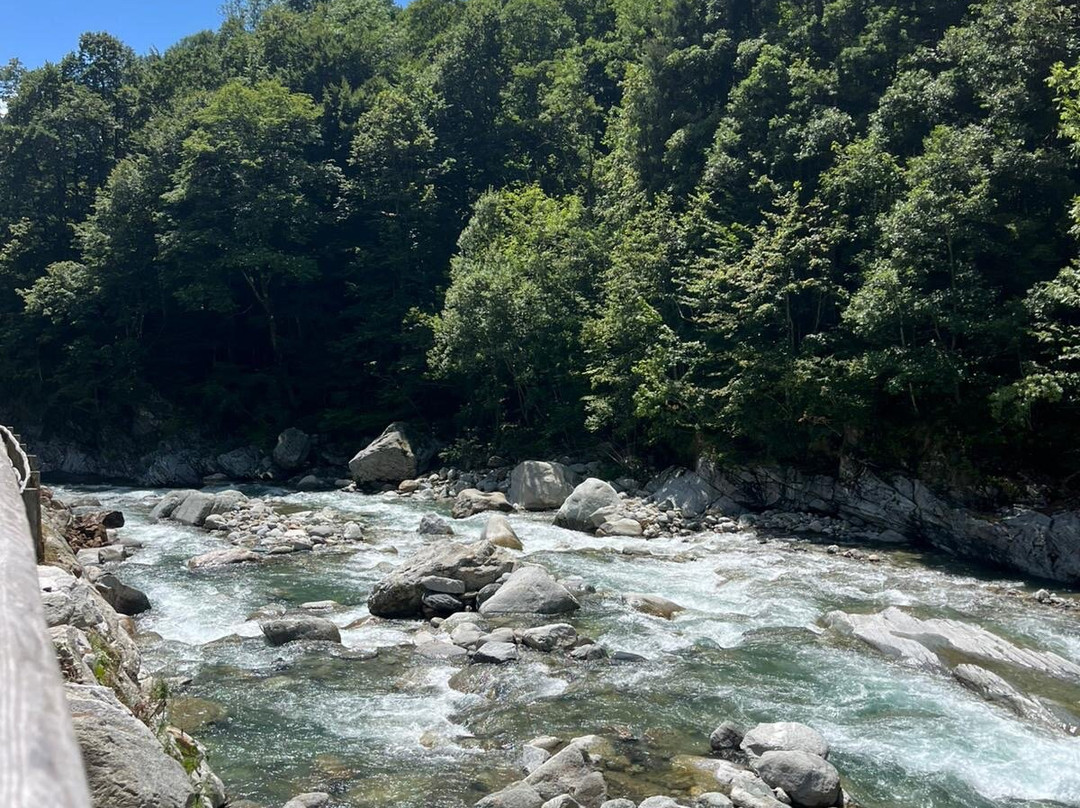 Alpine Rider Center-Mollia必去景点