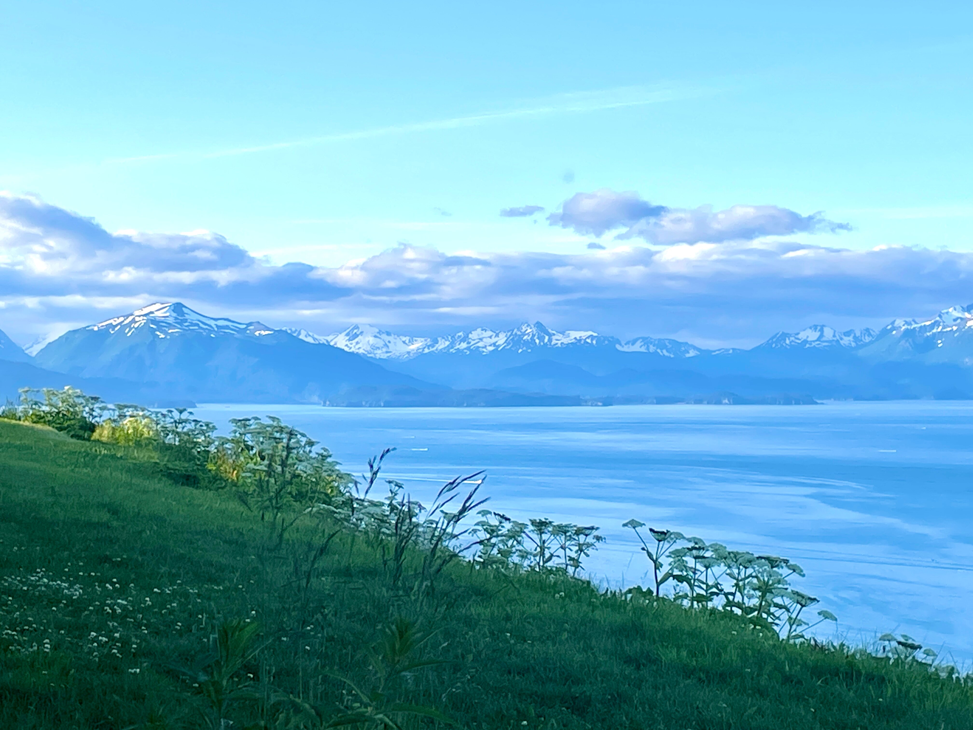 Alaskan Suites-官方