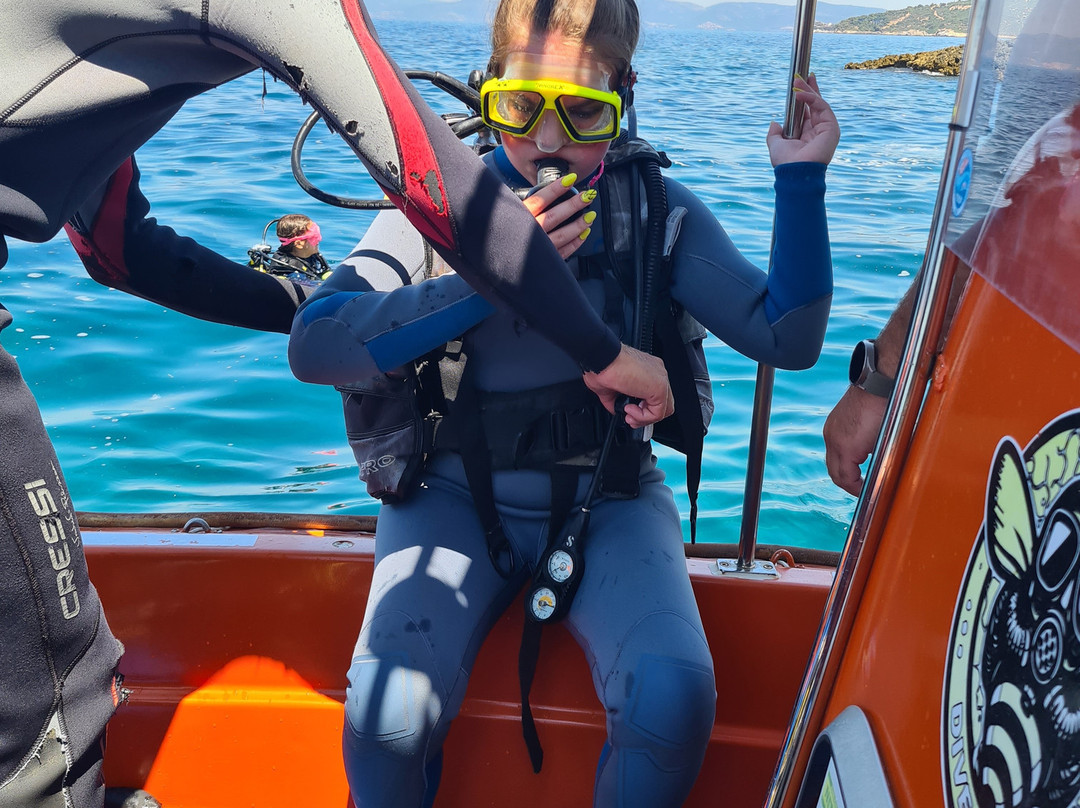 Diver Bees Dive Center-库萨达斯必去景点