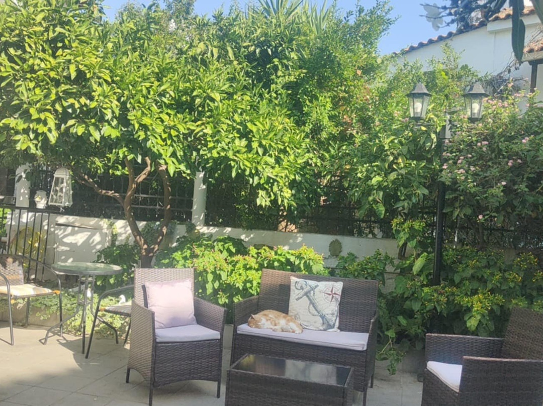 Hotel la petite Morfo主图