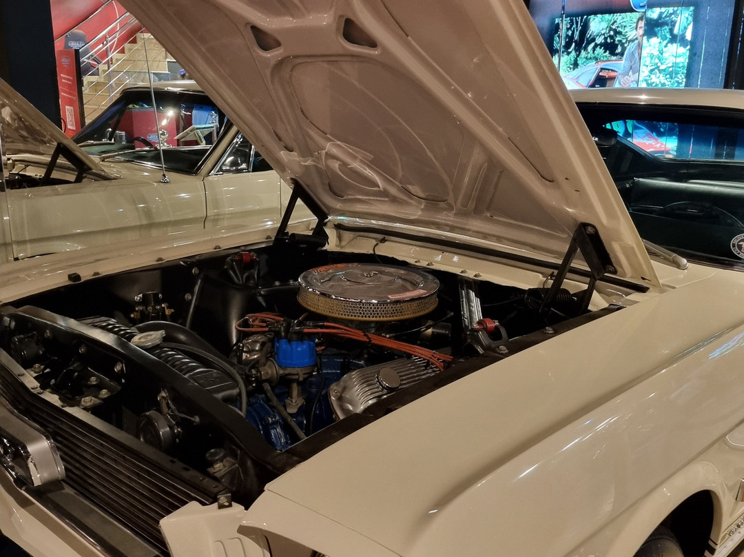 Classic Car Show - Museu Do Automóvel-康泊琉海水浴场必去景点