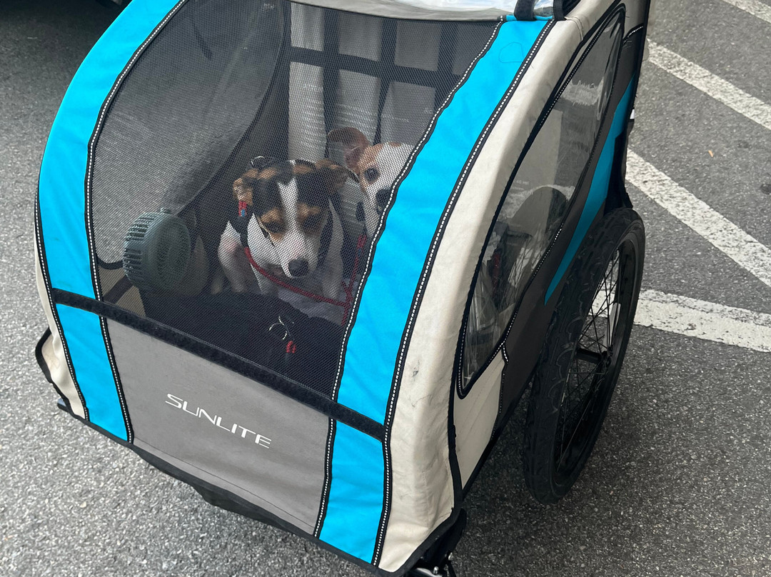 Savannah On Wheels-萨凡纳必去景点