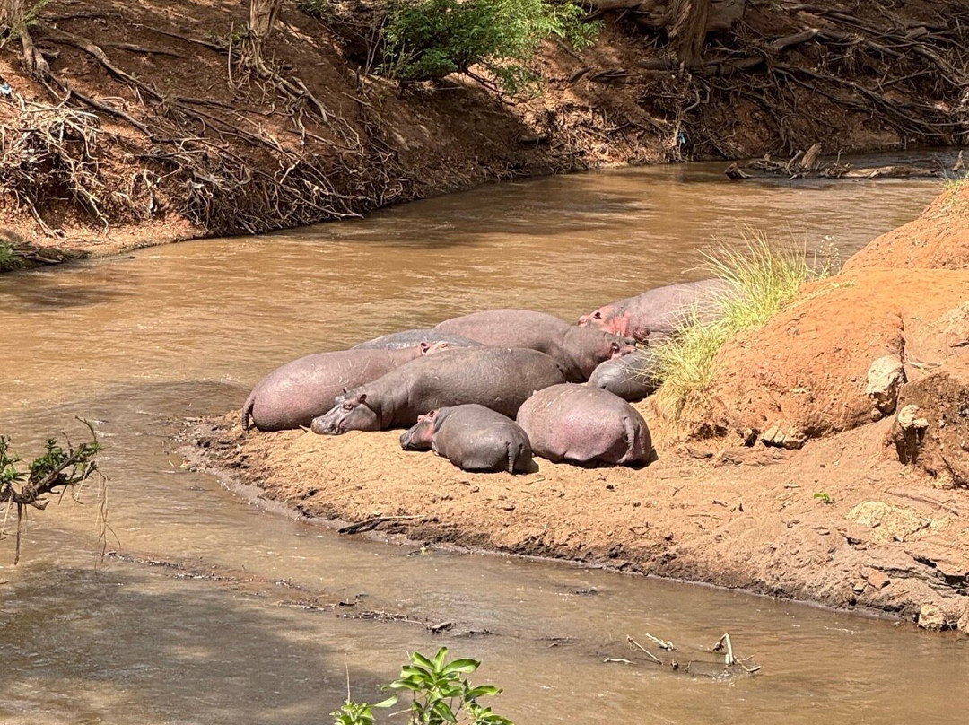 Alex Safaris-山祖必去景点