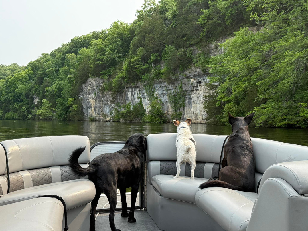 WFO Watersports-欧塞奇比奇必去景点