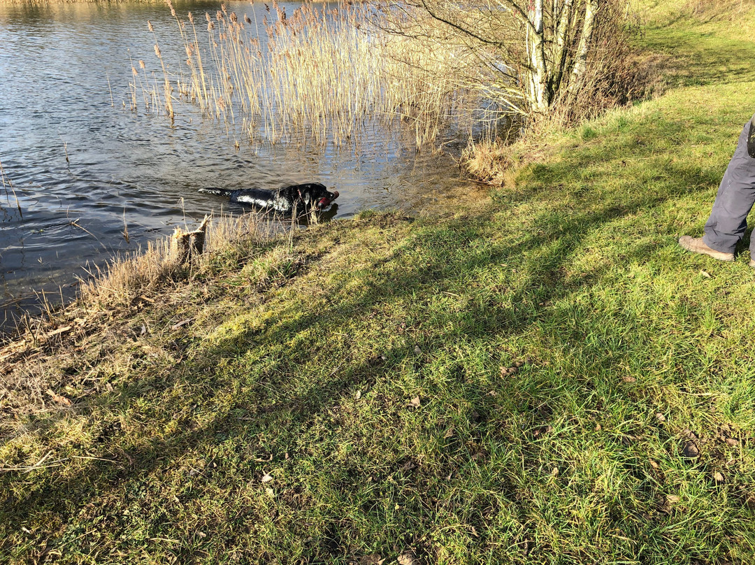 Allerthorpe Lakeland Park-Allerthorpe必去景点