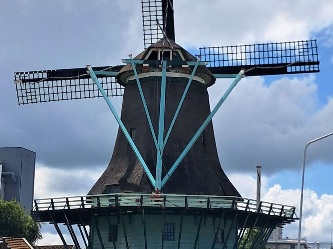 De Bleeke Dood Molen-赞代克必去景点