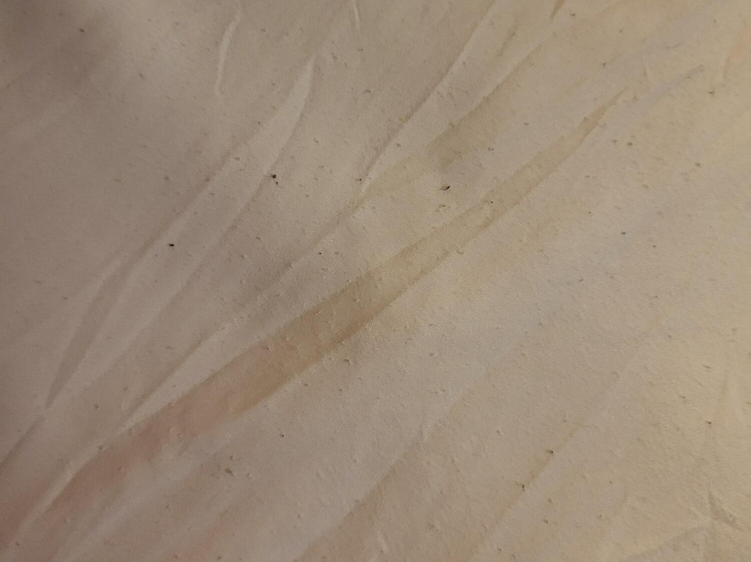 Premiere Classe Macon主图