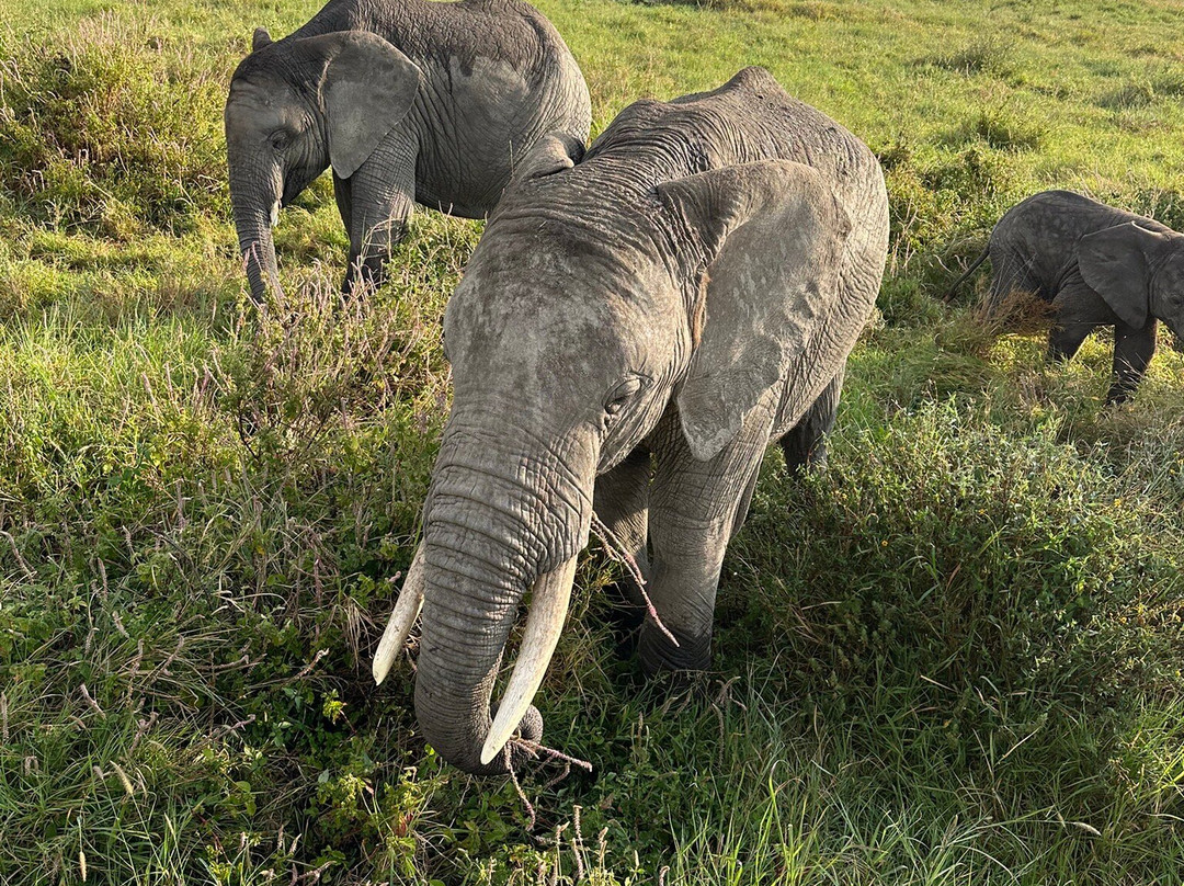 Takims Holidays-阿鲁沙必去景点