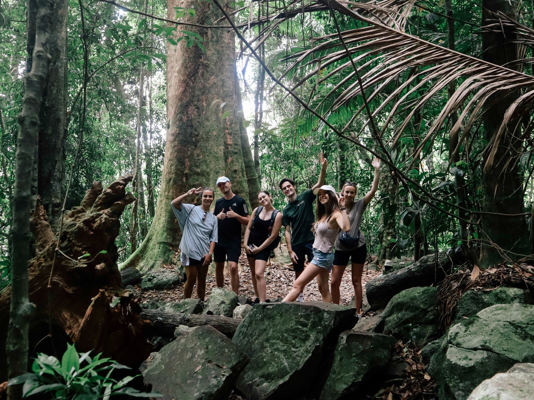 Paradise Tours-黄金海岸必去景点
