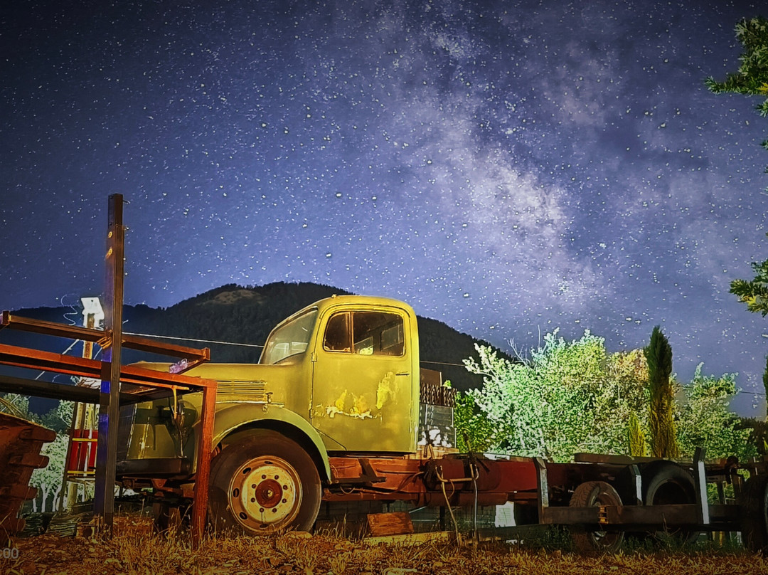 Ninemia Stay& Play主图