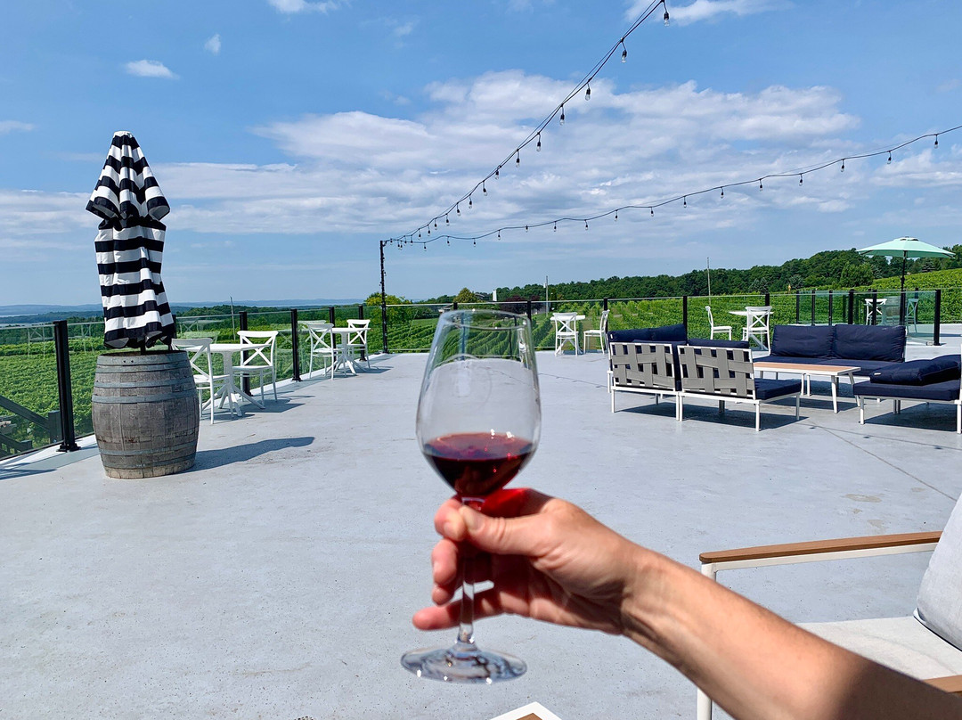 Bonobo Winery-特拉弗斯城必去景点