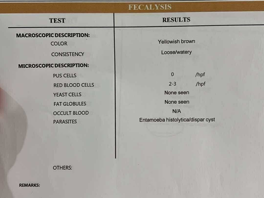 Cowrie Island-公主港必去景点