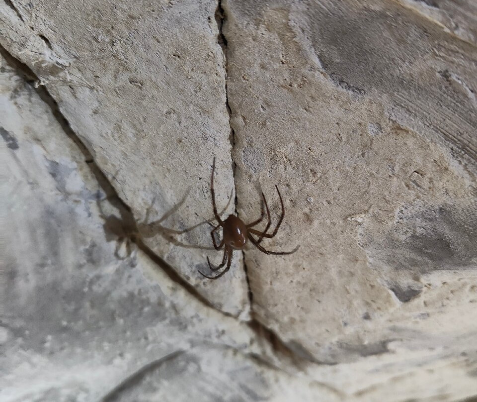 Objectif Spéléo & Canyon-Aleu必去景点