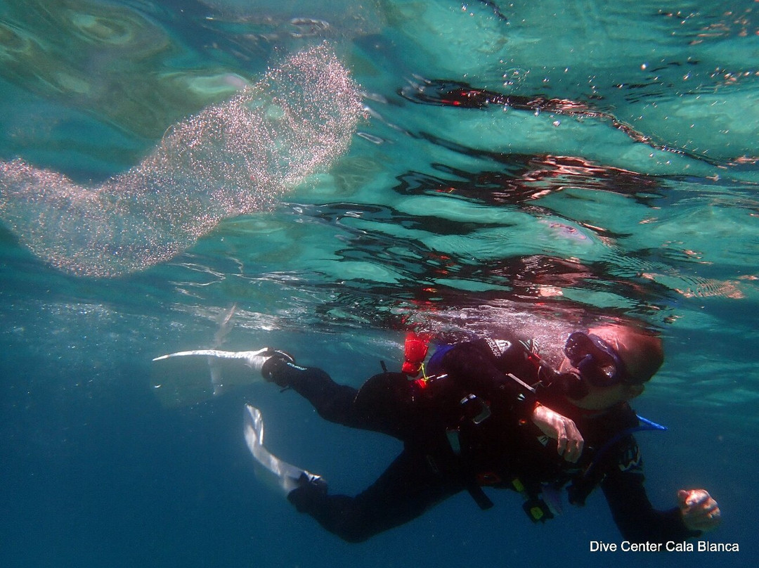 Dive Center Cala Blanca-卡拉布兰卡必去景点