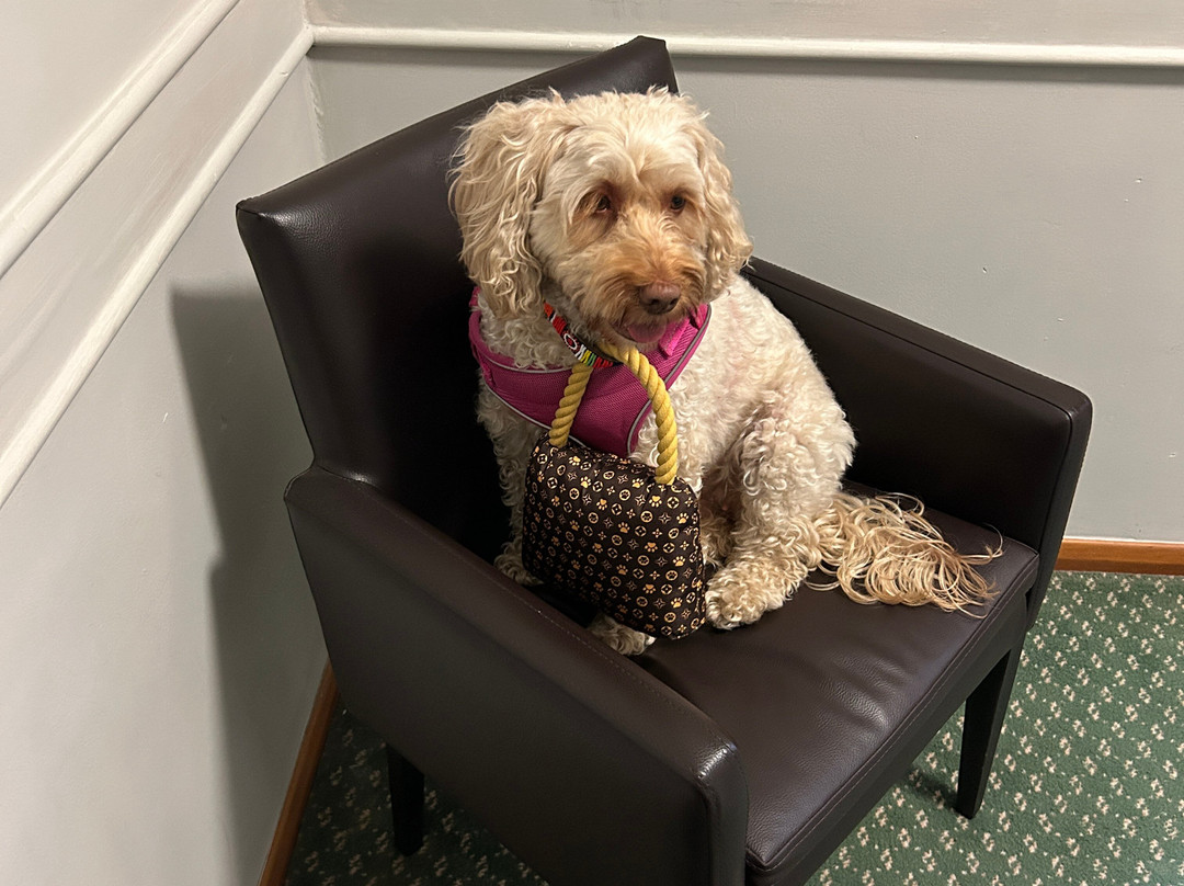 戴斯多宁顿&东米德兰机场酒店主图