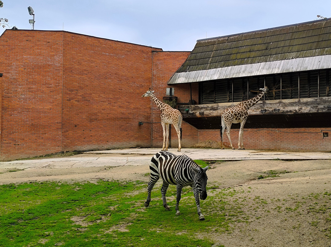 Zoo Liberec-利贝雷茨必去景点