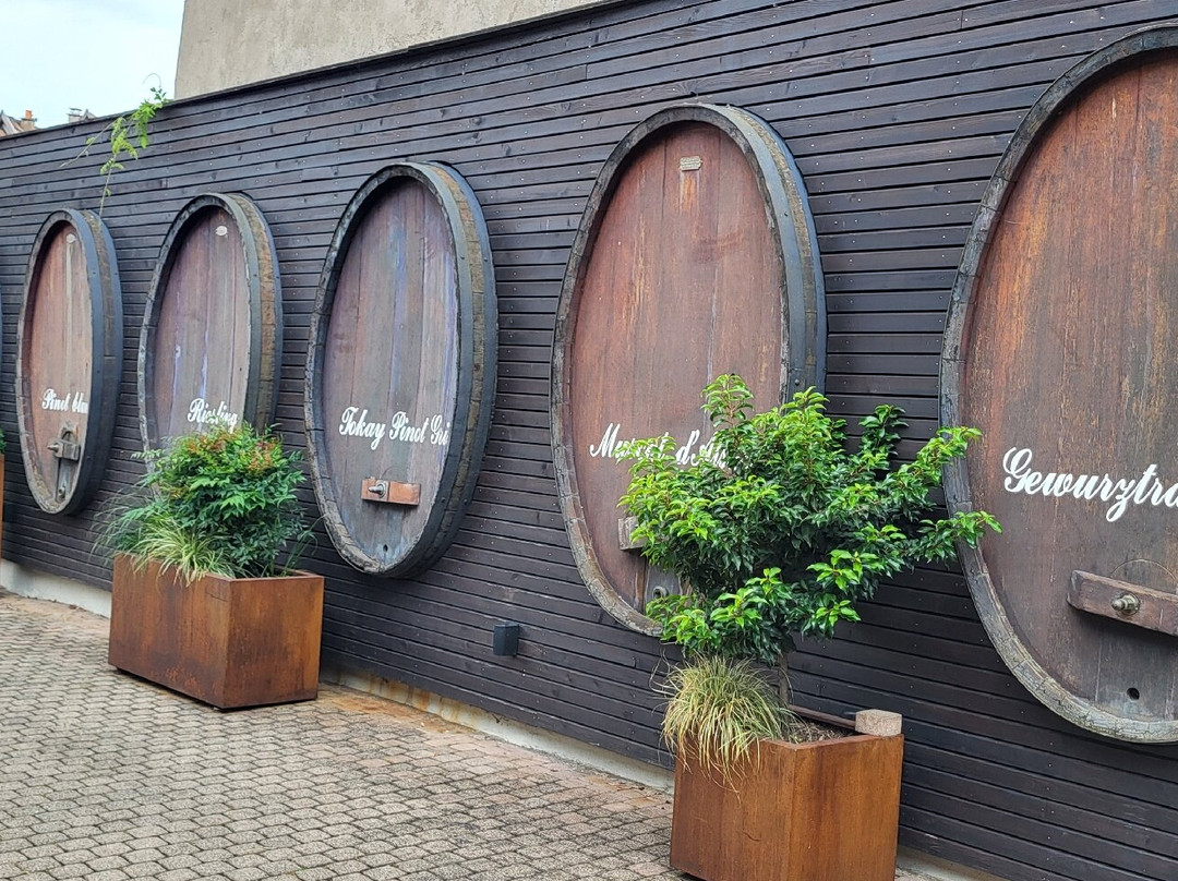 Domaine Zinck-艾古斯汉必去景点