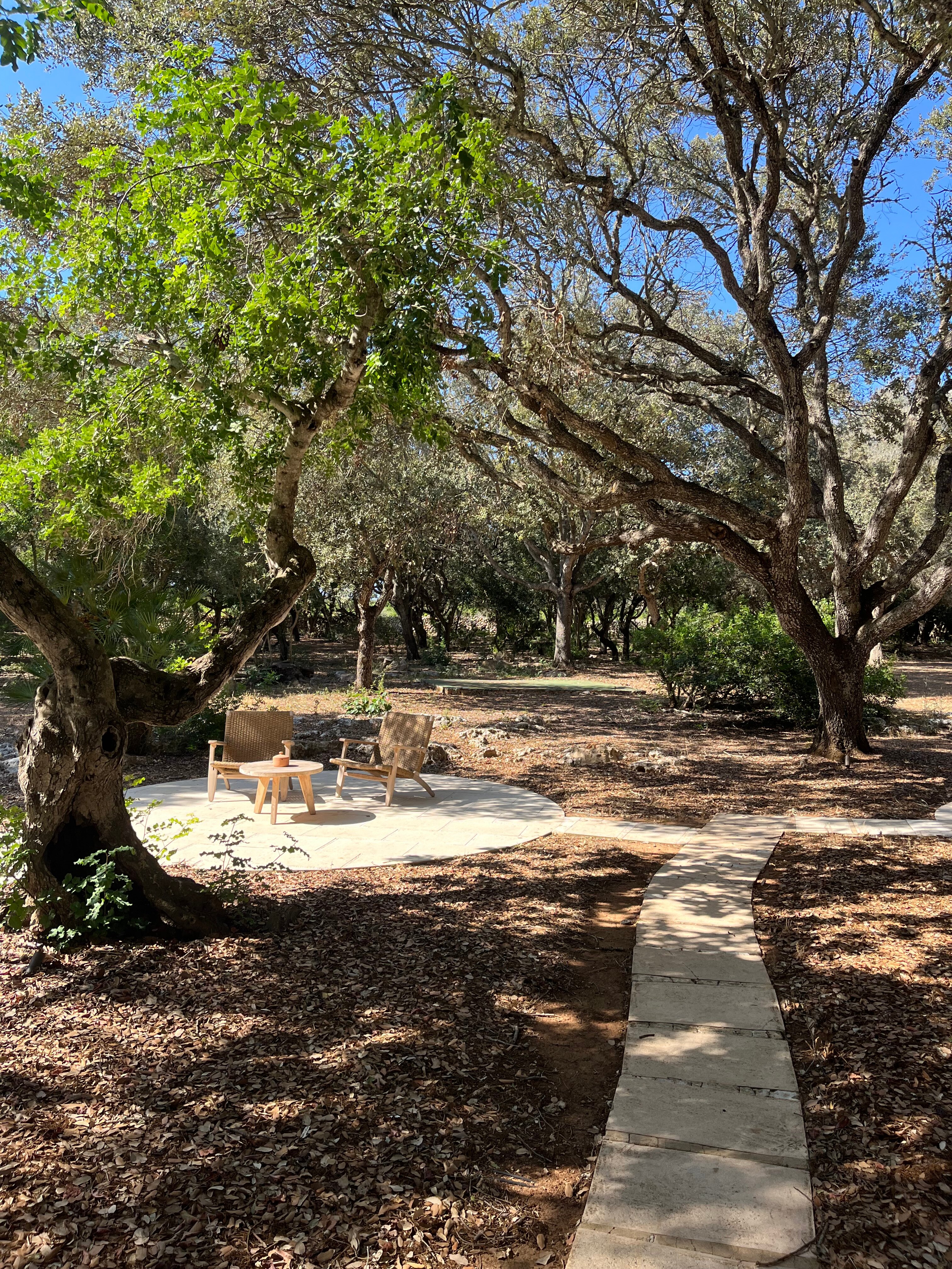 Hotel Rural Sant Ignasi-浴室