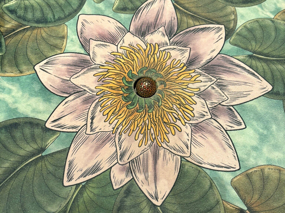 The Flower Bowl Entertainment Centre-Barton必去景点