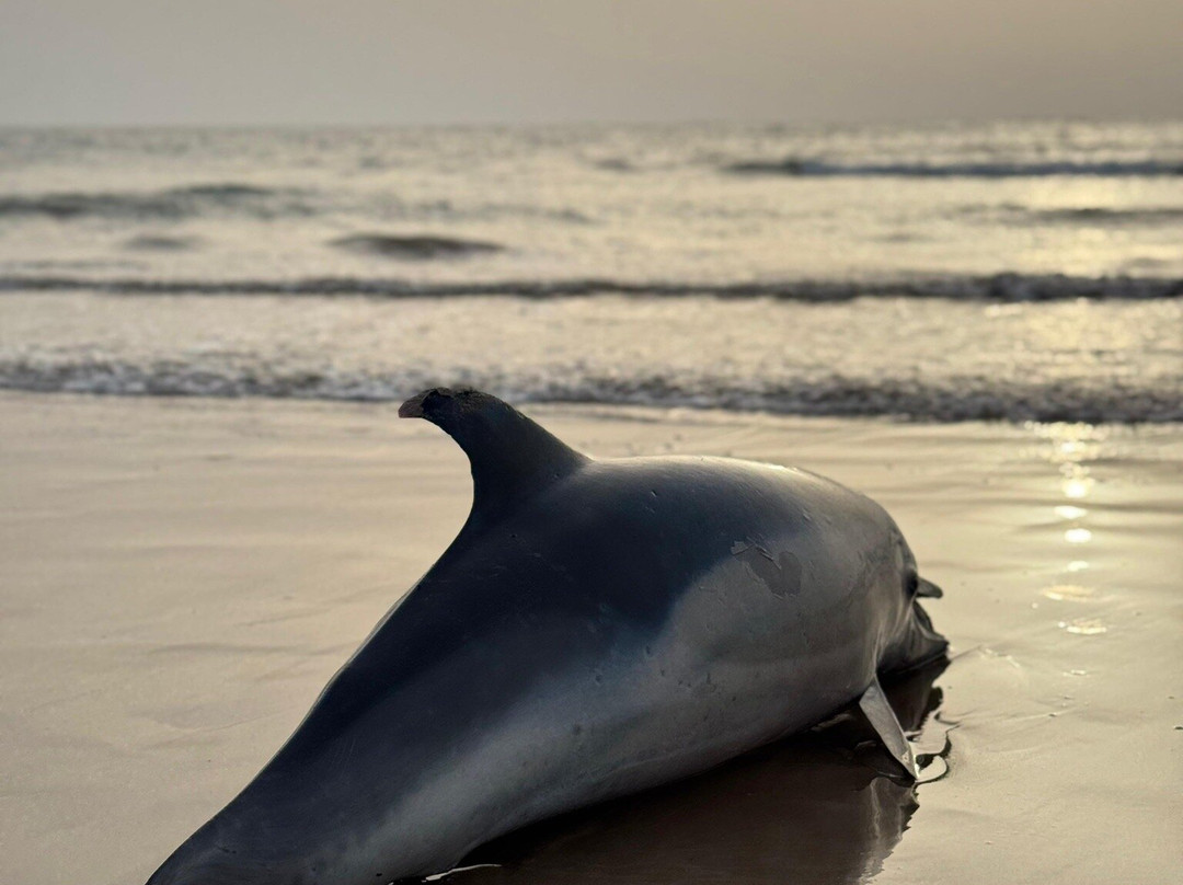 Sabiza Quad Essaouira-索维拉必去景点