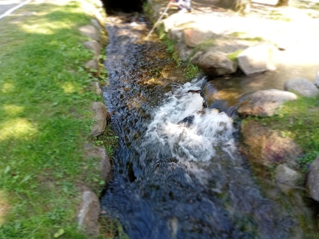 Sozzine Park-蓬泰迪莱尼奥必去景点