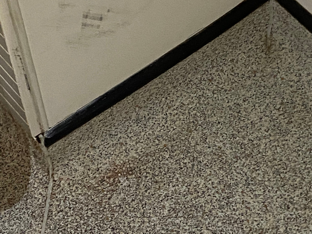 Holiday Inn Glasgow - East Kilbride by IHG主图