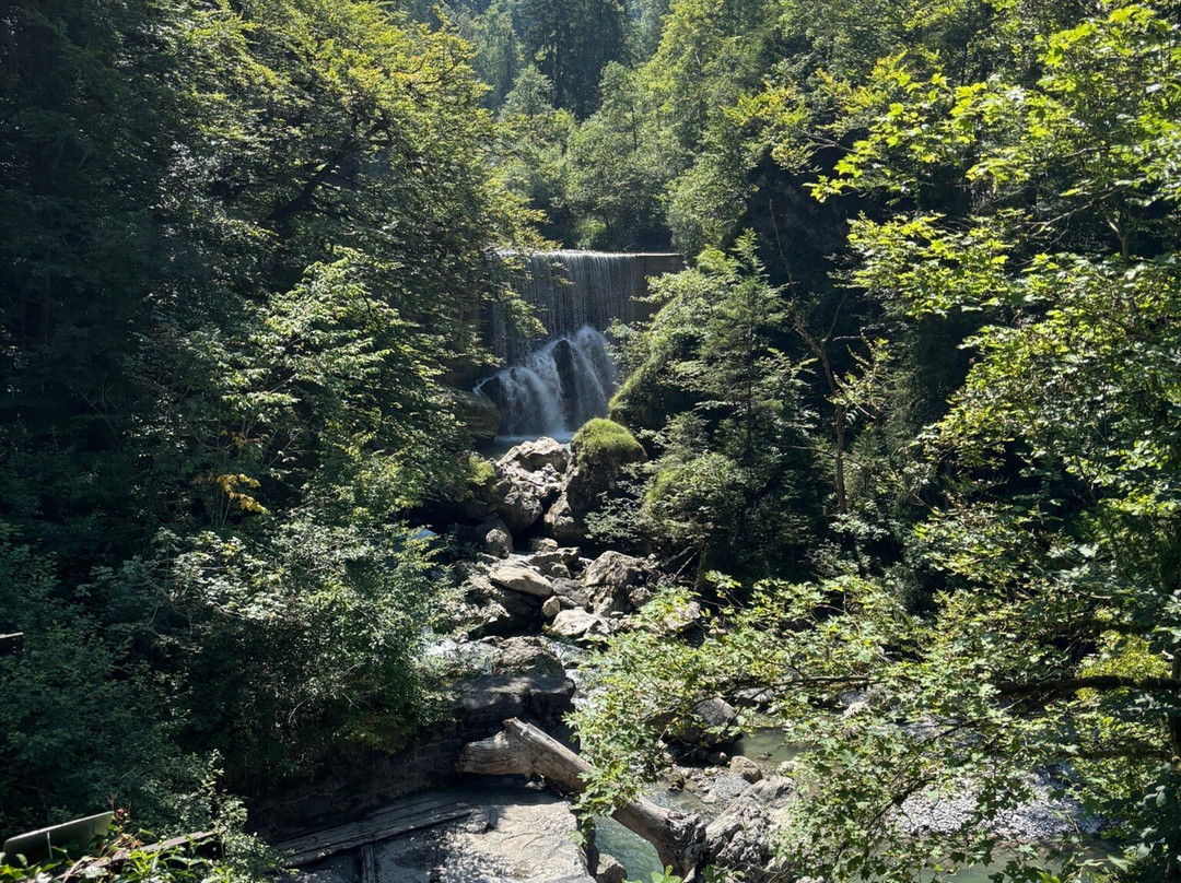Rappenlochschlucht-多恩比恩必去景点