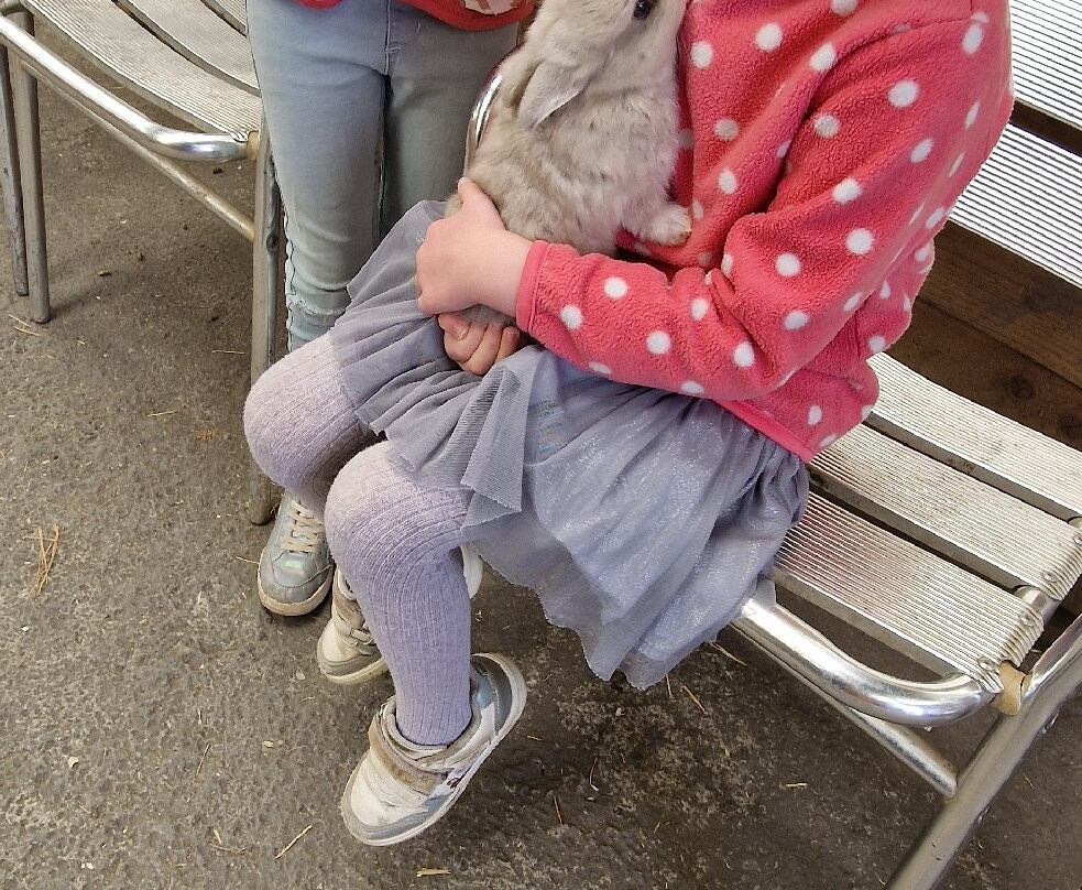 Willhome Farm Barn-Camrose必去景点