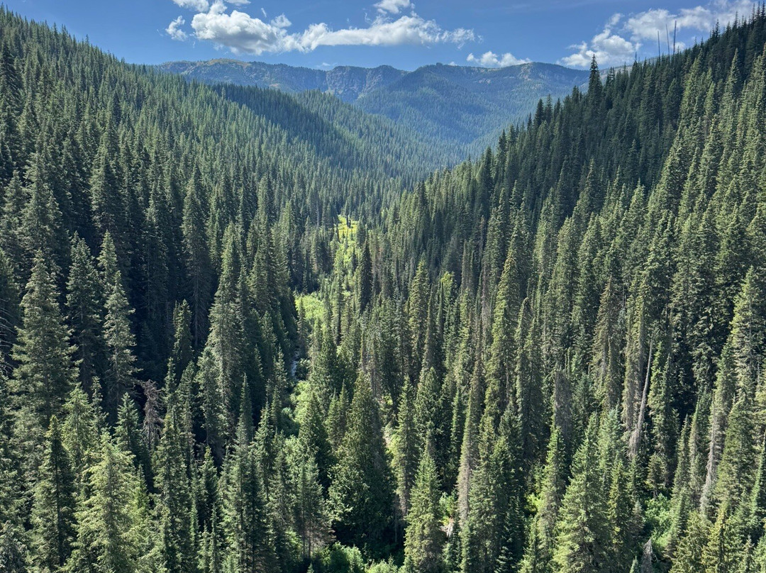 Route of the Hiawatha-Mullan必去景点