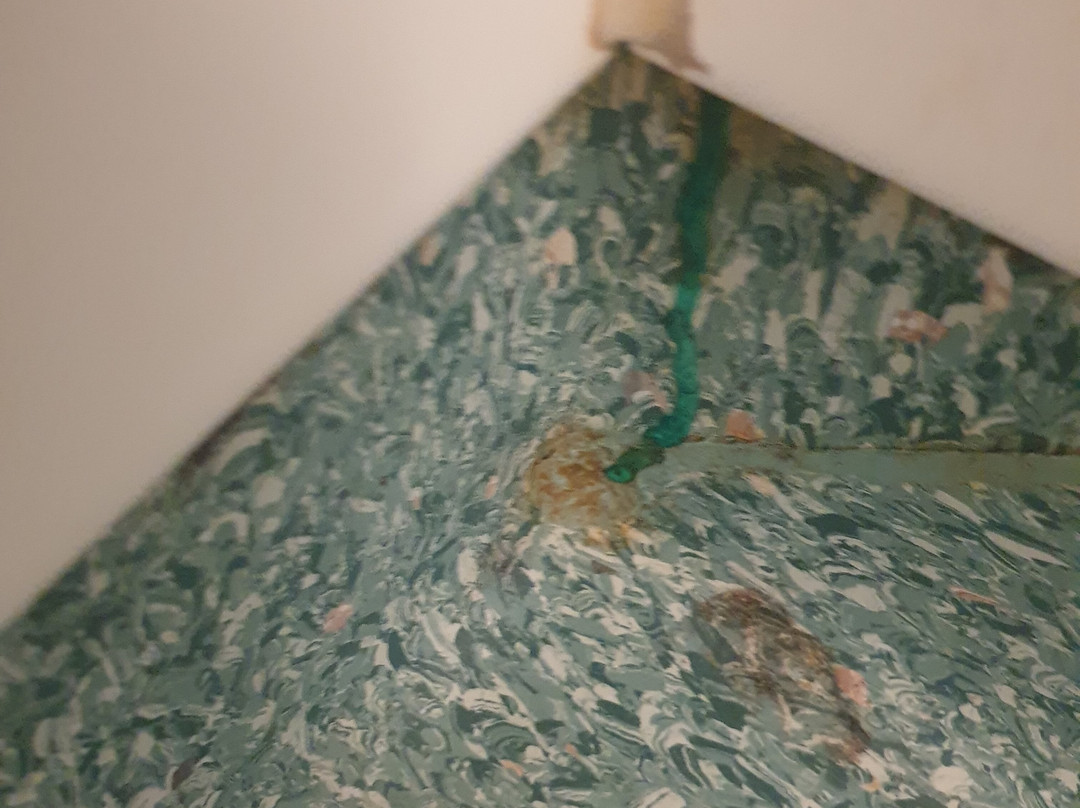 贝斯特韦斯特威哈公园酒店主图