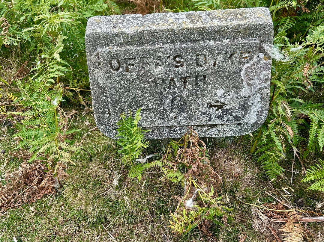 Offa's Dyke Lodge B&B主图