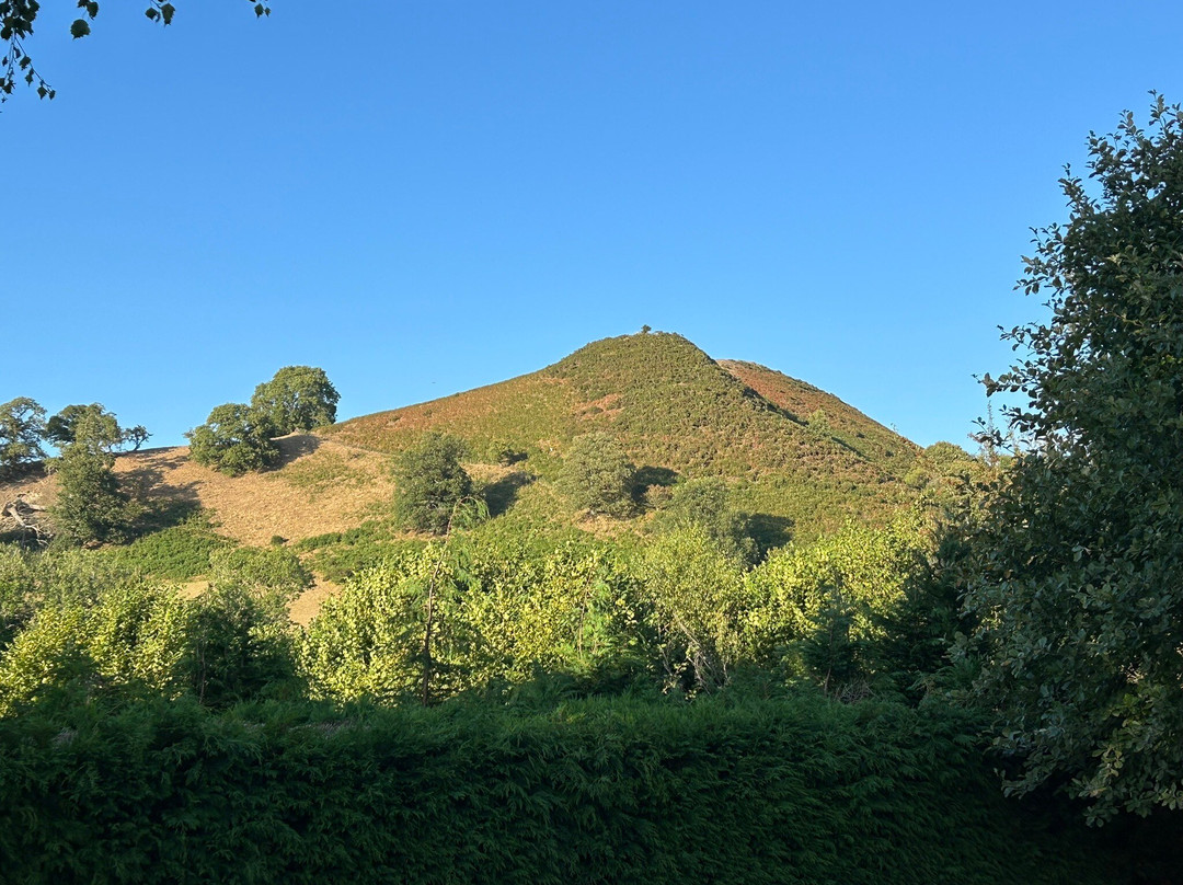 Offa's Dyke Lodge B&B主图