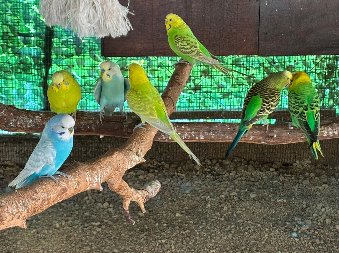 Odysseus Theme Park-萨米必去景点