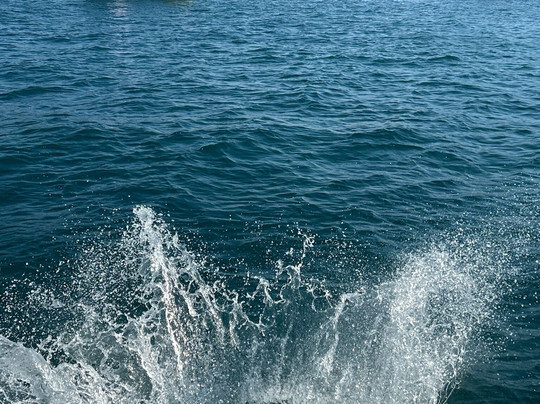 Sailing Pula Adrinaut-普拉必去景点