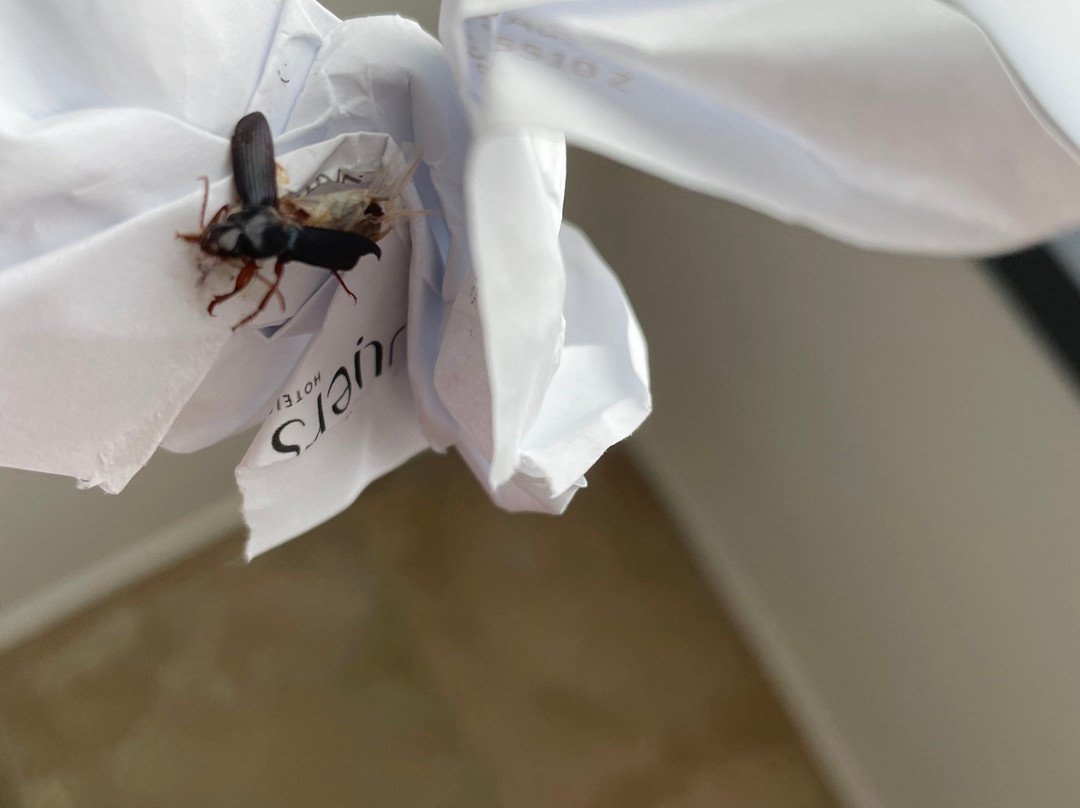 Le Domaine de Baulieu, Singuliers Hôtel主图