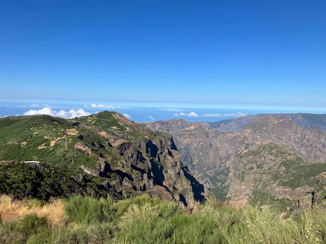 Nature Express Tours-Camara De Lobos必去景点
