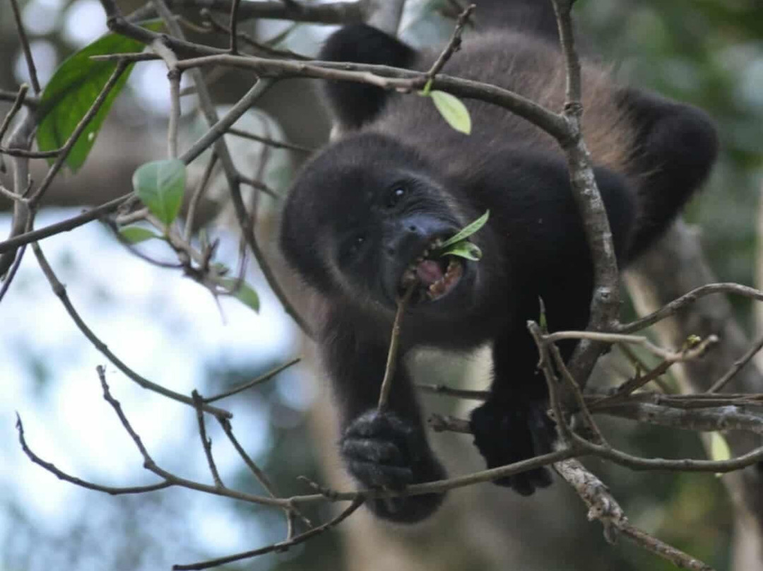 Parador Resort & Spa主图