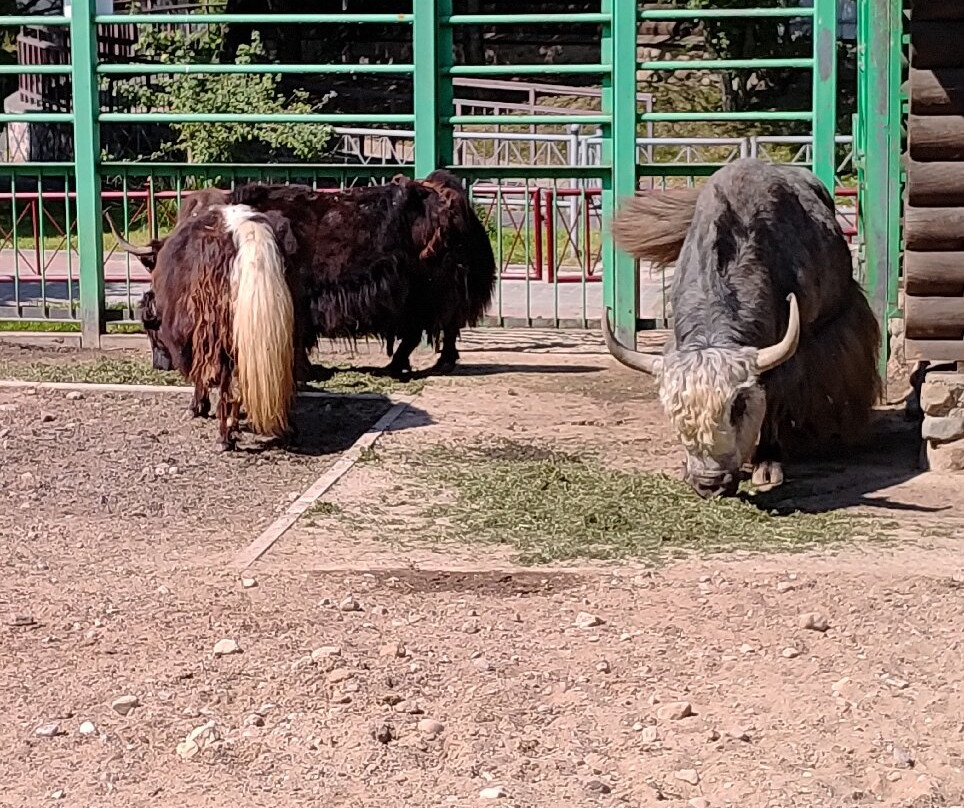 Grodno Zoo-格罗德诺必去景点