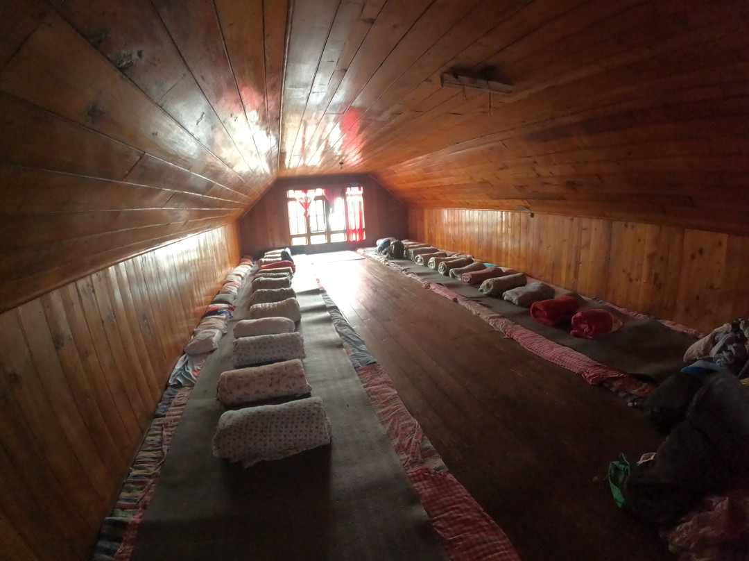 Varsey Rhododendron Sanctuary-West Sikkim必去景点