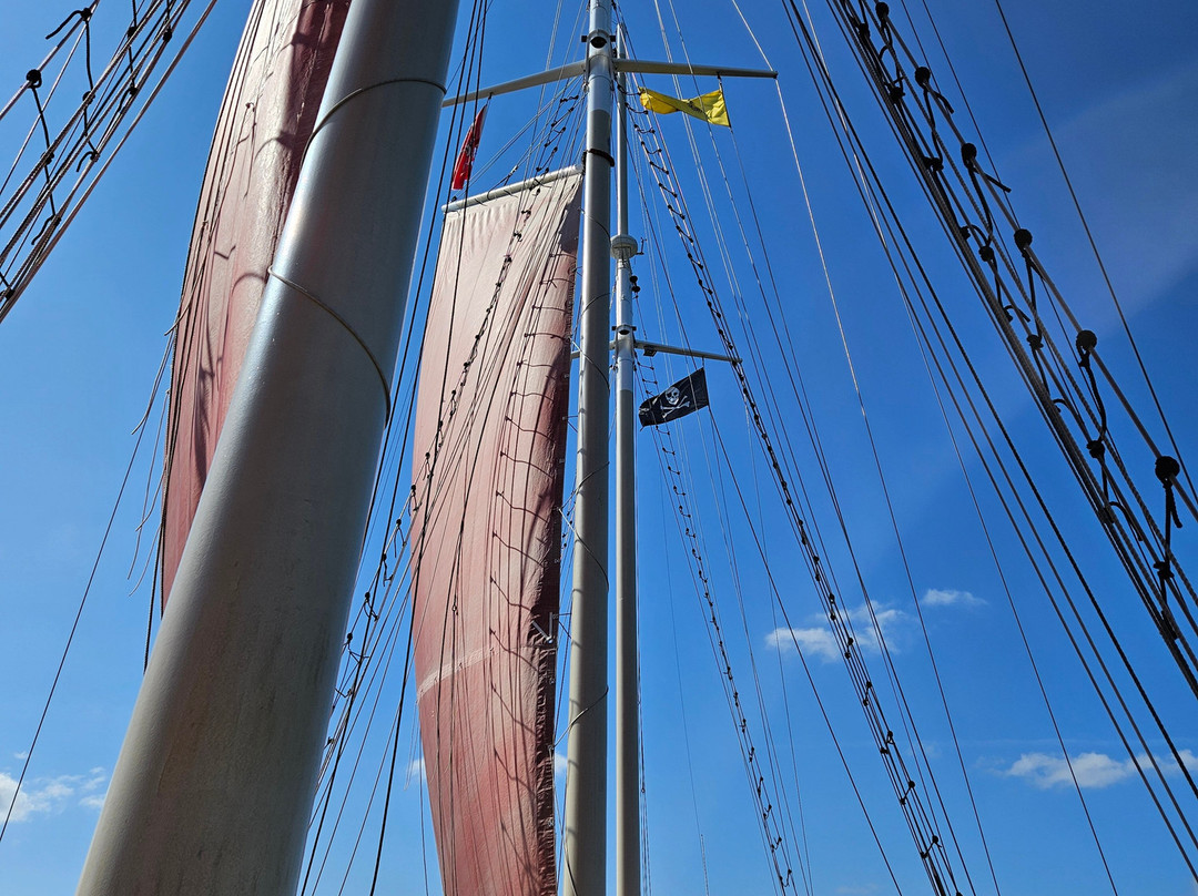 American Rover Sailing Cruises-诺福克必去景点